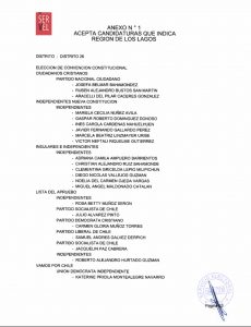 27 candidaturas en región de Los Lagos fueron aceptadas por el Servel para la Convención Constitucional