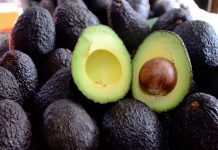 Oro verde: Las razones por las que el precio de la palta llegó incluso a $7 mil el kilo