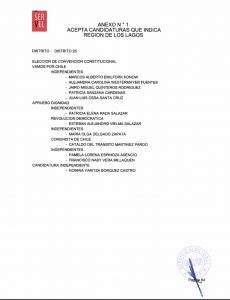 27 candidaturas en región de Los Lagos fueron aceptadas por el Servel para la Convención Constitucional