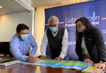 Chiloé: aumento de tala ilegal de bosque nativo obligó articular un plan de fiscalización