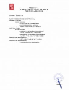 27 candidaturas en región de Los Lagos fueron aceptadas por el Servel para la Convención Constitucional