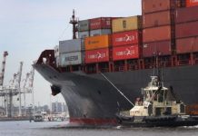 Gobierno le puso discusión inmediata al TPP-11 en el Senado