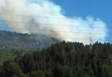 Palena: cerca de 40 hectáreas de bosque ha consumido incendio forestal en la comuna