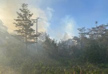 Puerto Montt: incendio forestal en Lago Chapo amenazó con propagarse a las viviendas del sector y obligó declarar alerta roja