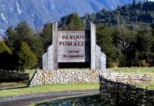El Parque Nacional Pumalín Douglas Tompkins cuenta con su primer plan de manejo