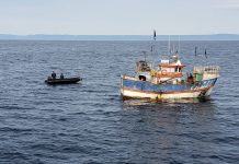 Esta semana el Congreso revisará nuevamente el proyecto de remanentes de cuotas para pescadores artesanales