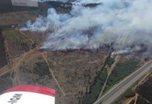 Declaran alerta roja para Temuco por incendio forestal