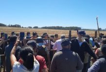 Agricultores emplazan a Piñera en medio de violenta toma de campo en Lautaro