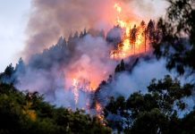 Alcaldes de San Juan de la Costa y San Pablo afirman estar preparados ante posibles incendios forestales