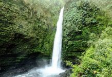 Puerto Octay: interpondrán acciones legales contra persona que usó de manera ilegal terreno fiscal en la cascada