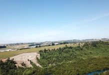 Llanquihue: Tribunal Ambiental de Valdivia paraliza obras de construcción cerca del rio Maullín