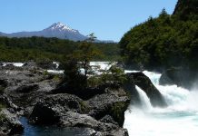 Conaf Los Lagos confirmó reapertura de sus parques en la región de lunes a viernes