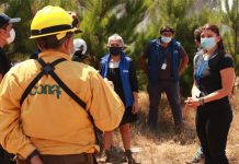 Seis incendios forestales han consumido más de 300 hectáreas en La Araucanía: Lumaco y Galvarino están con Alerta Roja