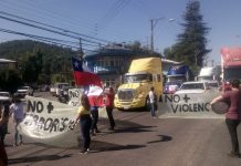 Camioneros se manifiestan en el centro de Temuco