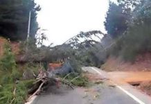 Atentados y corte de ruta Tirúa-Cañete obligan a suspender proceso de vacunación.