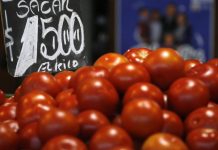 Daños en cultivos: Ministra de Agricultura descartó alza de precios tras sistema frontal