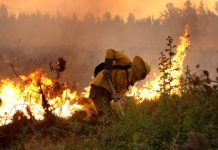 Conaf Los Lagos monitorea eventuales incendios forestales en la región ante ola de calor esta semana