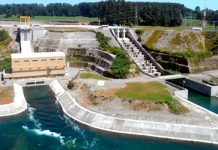 Tribunal rechazó reclamación relativa a la revisión de la RCA del proyecto Central Hidroeléctrica Los Lagos