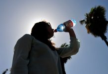 Onemi declara Alerta Temprana Preventiva para la región de Los Lagos por altas temperaturas