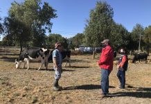 Descartan decretar zona de emergencia agrícola por escasez hídrica