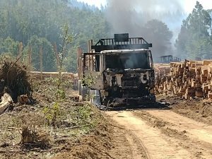 Investigan ataque incendiario en La Unión