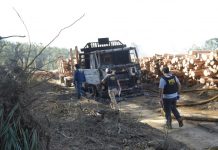 Investigan ataque incendiario en La Unión