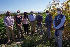 Director Nacional de INDAP dialogó con líderes campesinas y productoras en la Quinta Región, además saludo a las funcionarias de todo el país
