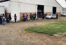 Este miércoles y jueves se retomará vacunación en Recinto Sago con vacunas Pfizer