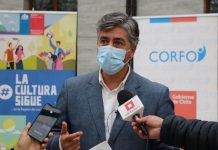 Corfo Los Lagos anunció tres planes de reactivación económica en la región