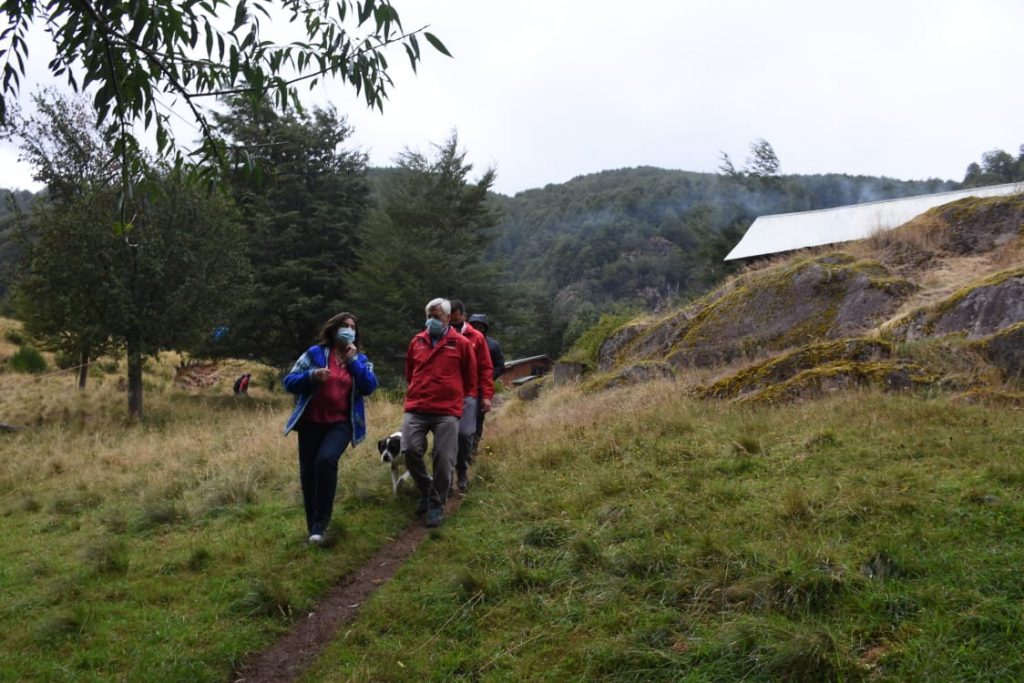 80 empresas de la provincia de Llanquihue y Palena beneficiadas por el Gobierno Regional de Los Lagos