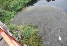 Consejo Regional solicitó informes de contaminantes, diagnóstico ambiental y limpiar ribera del Río Damas