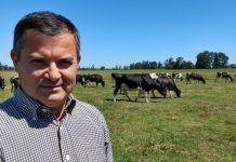 Gerente de Aproval y caso Not Milk: «No estamos en guerra con nadie»