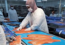 Las exportaciones de Los Lagos crecieron un 9,6% a fines de 2022