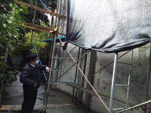 Osorno: Vacunatorio de Catedral San Mateo se trasladará por esta semana a iglesia San Francisco