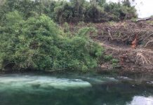 Después de 7 años presentan estudio en torno a la contaminación del Río Maullín