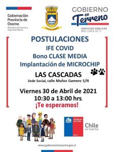 Gobierno brindará orientación en sector Las Cascadas - Puerto Octay con respecto al IFE Covid y bono Clase Media