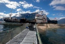 Camanchaca finaliza hoy retiro total de la mortalidad de salmones en el fiordo Comau