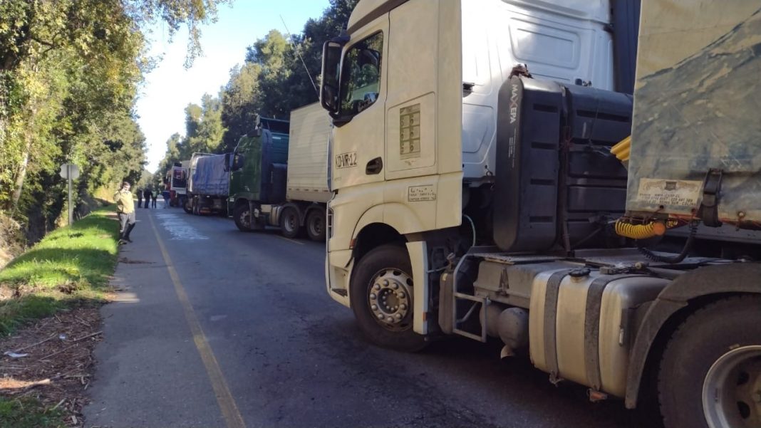 WhatsApp Image 2021-04-26 at 12.23.57