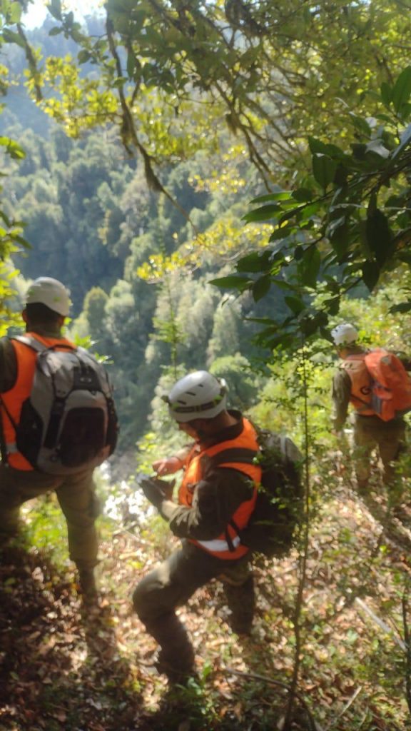 Encuentran sin vida cuerpo de joven extraviado en Puerto Octay