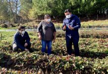 INDAP habilita permiso de desplazamiento para agricultores