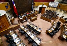 Senado aprobó en general el proyecto del bono clase media y préstamo solidario