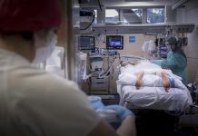 240 nuevos contagios y 5 fallecimientos por coronavirus reportó la región de Los Lagos este lunes.