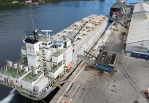 Más de 6 mil cabezas de ganado vivo zarparon desde Puerto Montt a China