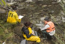 Informe de la ULA determinó que contaminación en ríos de Osorno supera hasta en 81 veces la norma