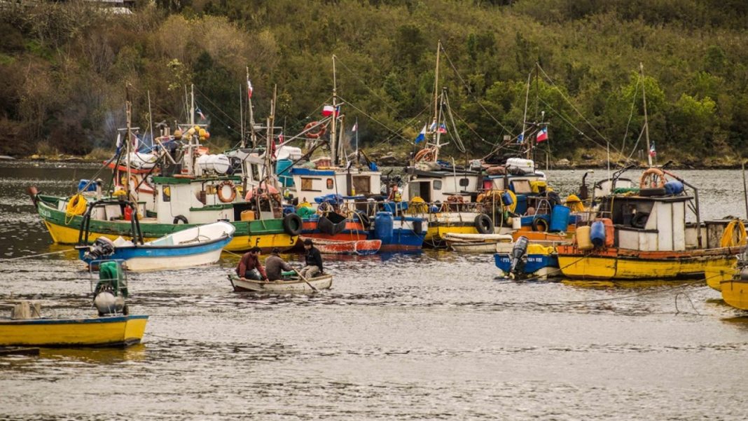 pescadores artesanales