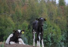 El SAG implementará un plan de capacitación dirigido a la Agricultura Familiar Campesina