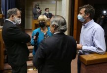 Senado aprobó en general postergar las elecciones para el 15 y 16 de mayo