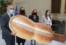 Ley de la Marraqueta: Piden al Gobierno patrocinar proyecto que da $1 millón a recién nacidos