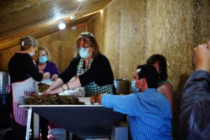 Viña Casa Klocker Prambs de Frutillar, histórica primera vendimia y vinificación de vinos espumantes.