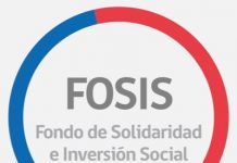 Región de Los Lagos: emprendedores valoran apoyo económico entregado por Fosis en medio de la pandemia